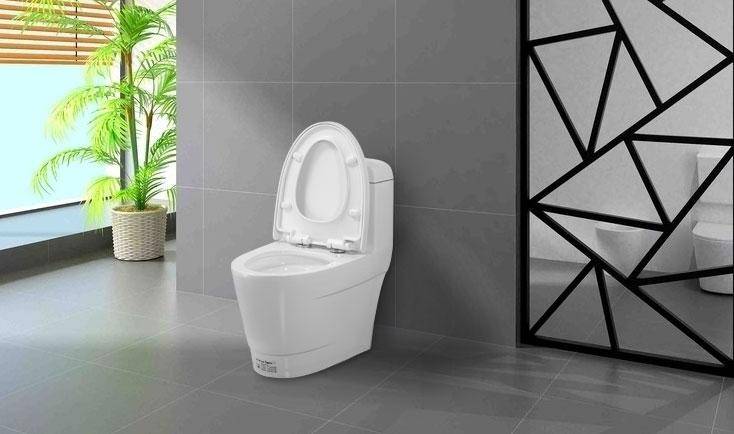 ��ô���RͰ