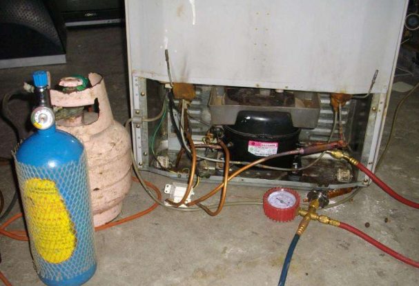 ��������ý��ʲô