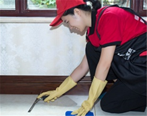 ������Ҧ������˾�����X_���a��(bi��o)�r