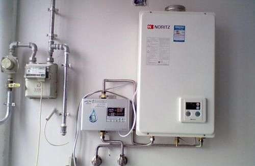 ��ͤ�ˮ�(zh��n)��ɭ�ڒ�t�S�ރr���M(f��i)��_���I(y��)����(w��)