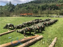 廈門企業(yè)團(tuán)建活動(dòng)策劃_廈門微商團(tuán)建策