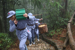 井岡山紅色教育培訓(xùn)課程介紹