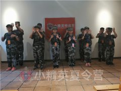 上海參加暑期夏令營活動 上海哪個夏令