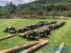 泉州適合企業(yè)團建的拓展游戲推薦