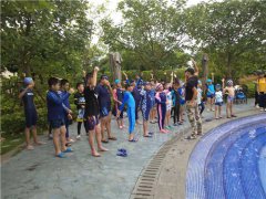 泉州哪里報(bào)名游泳夏令營?