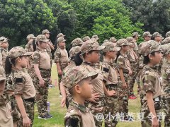 深圳報名夏令營要多少錢?