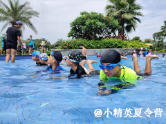 泉州游泳夏令營報名電話